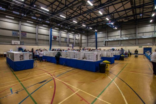 Show room Preston 2018